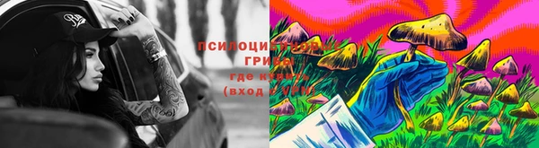 PSILOCYBIN Каменск-Шахтинский